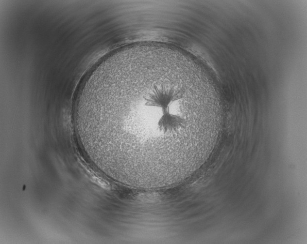 X0000073470882200608111533