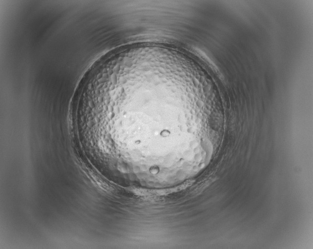 X0000073470883200608111533