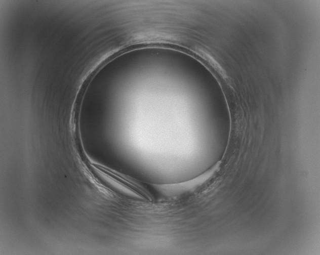 X0000073470885200608111533