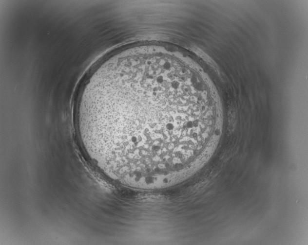 X0000073470886200608111533