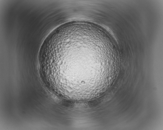 X0000073470887200608111533