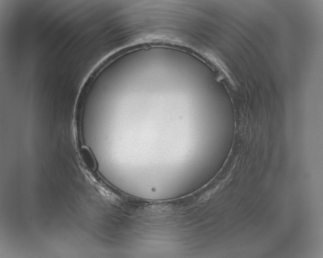 X0000073470888200608111533