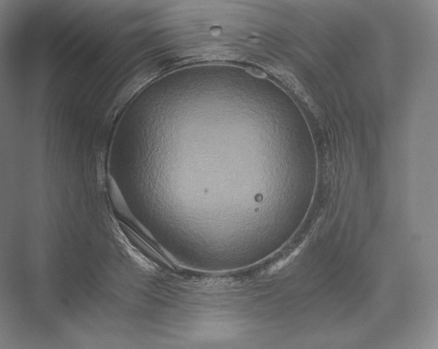 X0000073470889200608111533