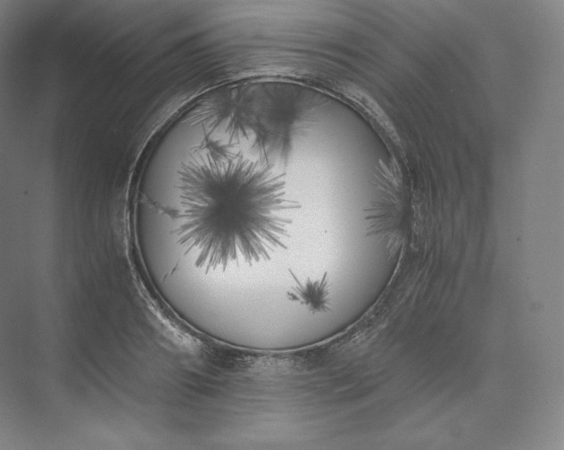 X0000073470890200608111533