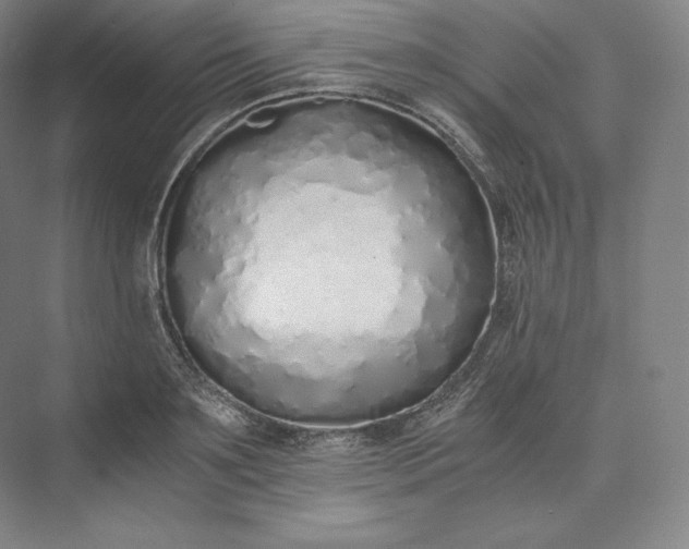 X0000073470891200608111533