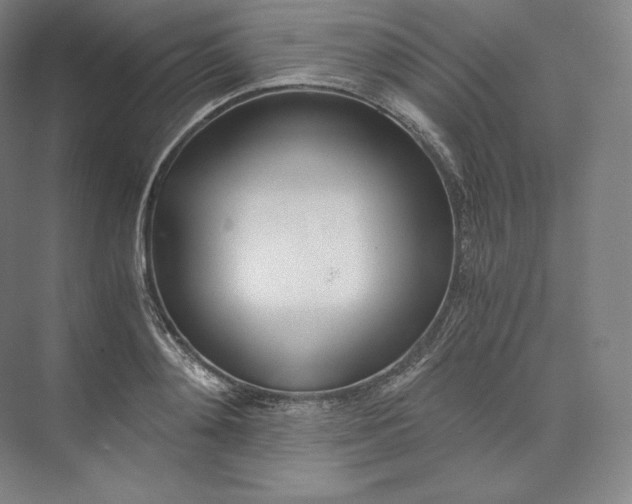 X0000073470892200608111533