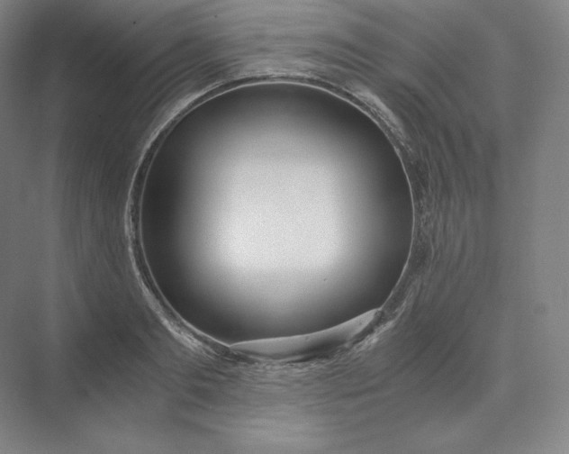 X0000073470893200608111533