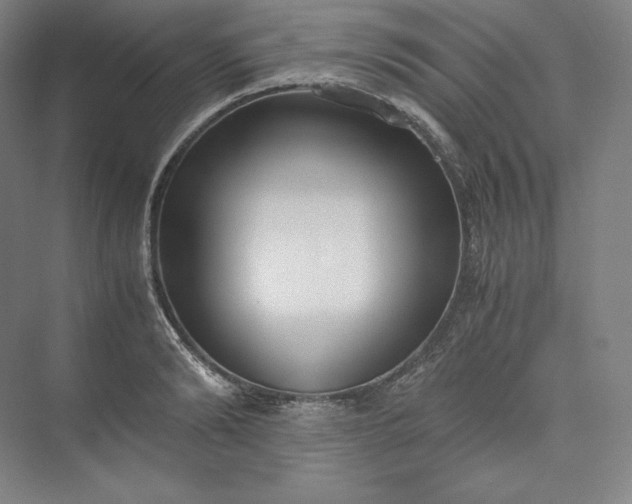 X0000073470894200608111533