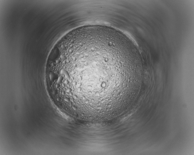 X0000073470895200608111533