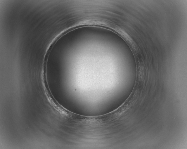 X0000073470896200608111533