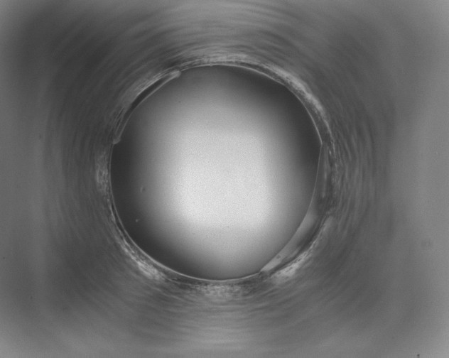 X0000073470897200608111533