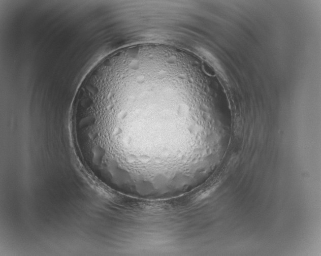 X0000073470899200608111533