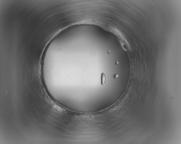 X0000073470900200608111533