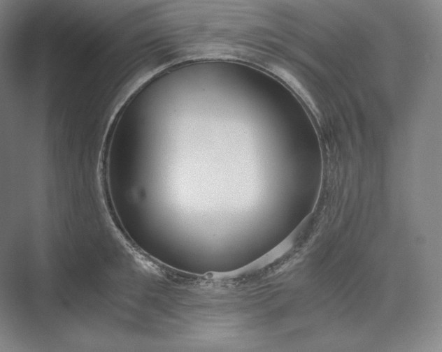 X0000073470901200608111533