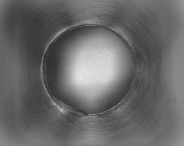 X0000073470902200608111533