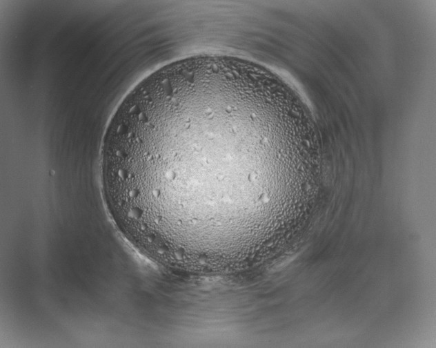 X0000073470903200608111533