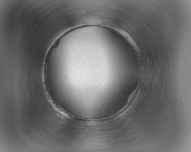 X0000073470904200608111533