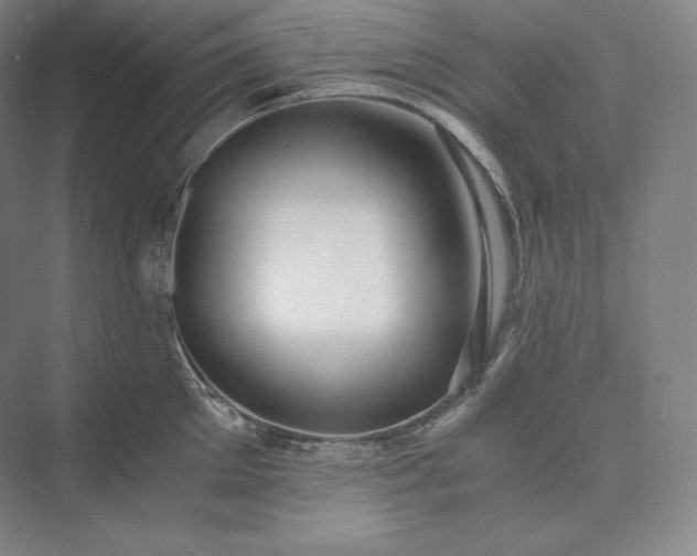 X0000073470905200608111533