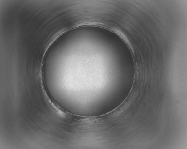 X0000073470906200608111533