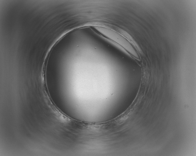 X0000073470908200608111533