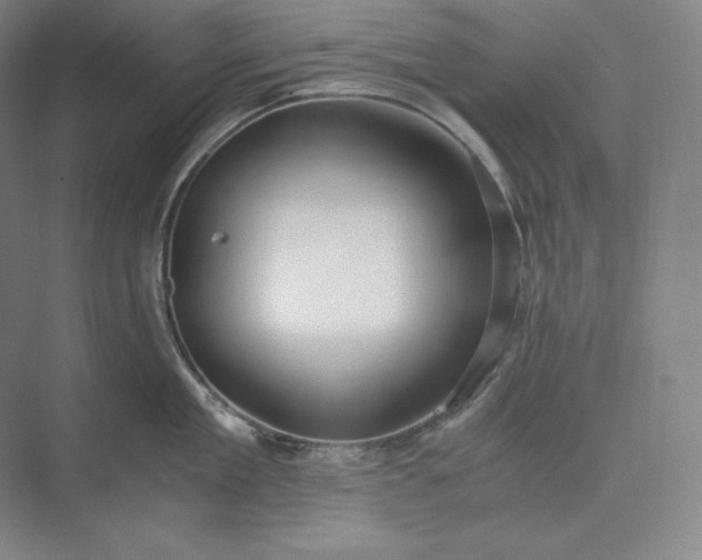 X0000073470909200608111533