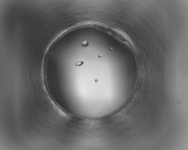 X0000073470910200608111533