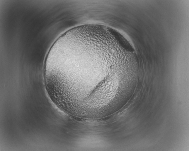 X0000073470911200608111533