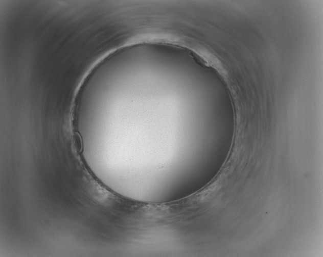 X0000073470912200608111533