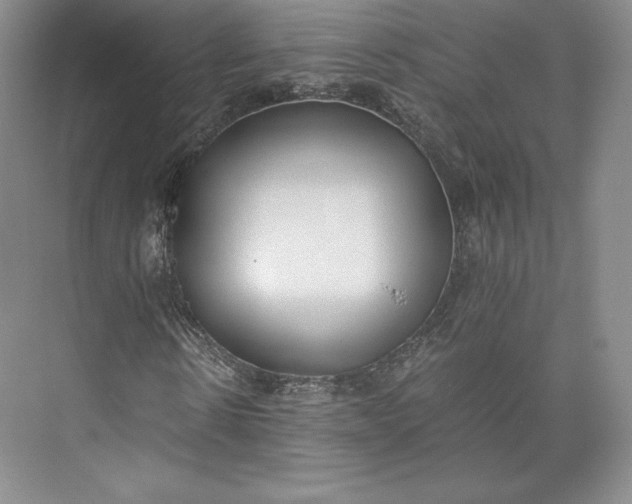 X0000073470914200608111532