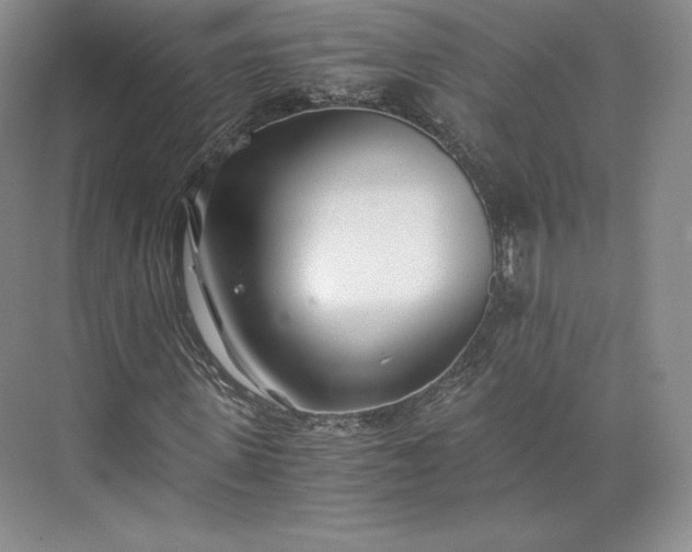 X0000073470915200608111532