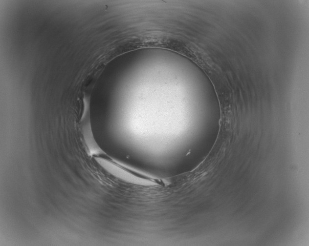 X0000073470916200608111532