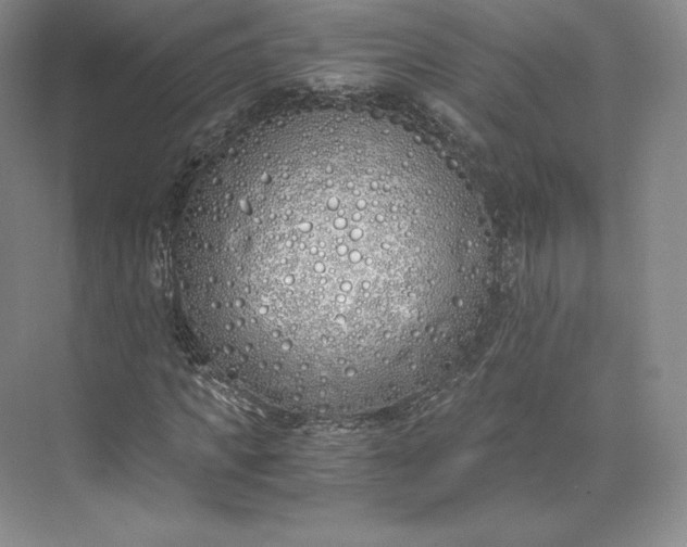 X0000073470917200608111532