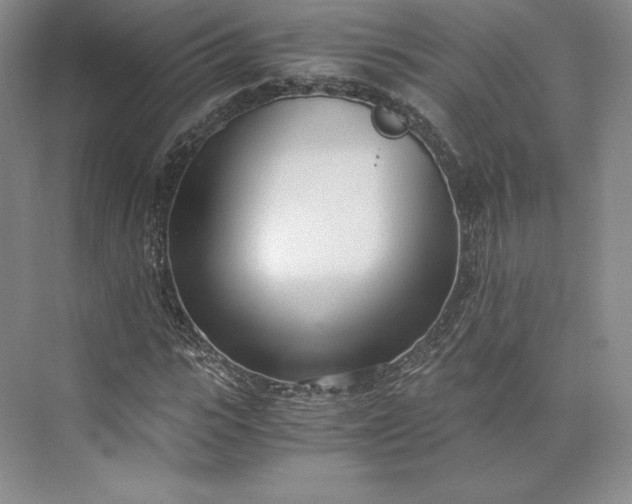 X0000073470919200608111532