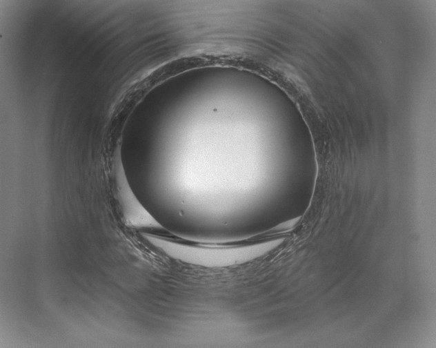 X0000073470920200608111532