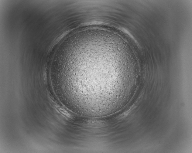 X0000073470921200608111532