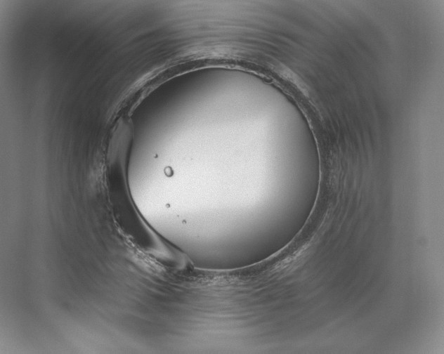 X0000073470922200608111532