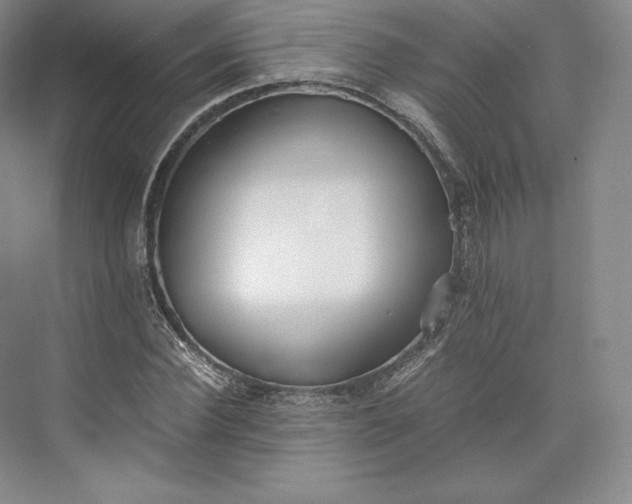 X0000073470924200608111532