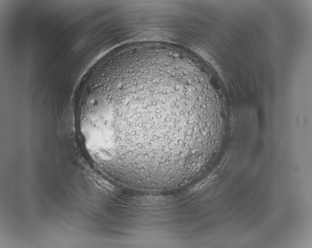 X0000073470925200608111532