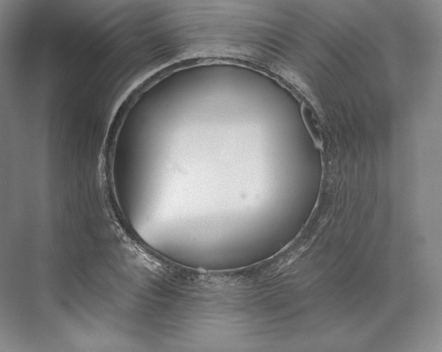 X0000073470928200608111532