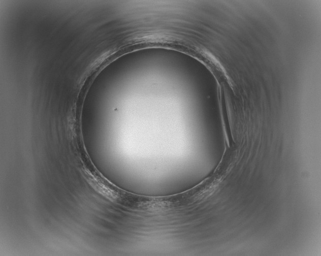 X0000073470930200608111532