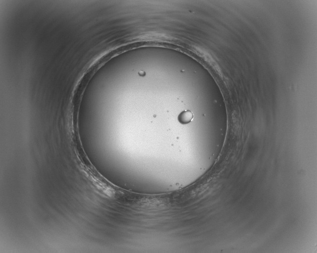 X0000073470931200608111532