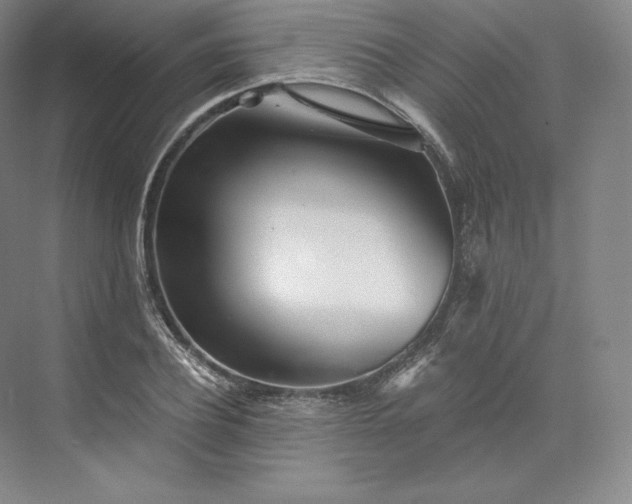 X0000073470932200608111532