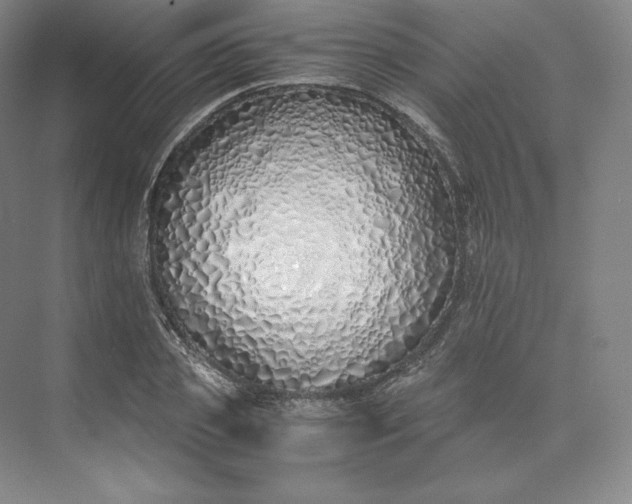 X0000073470933200608111532