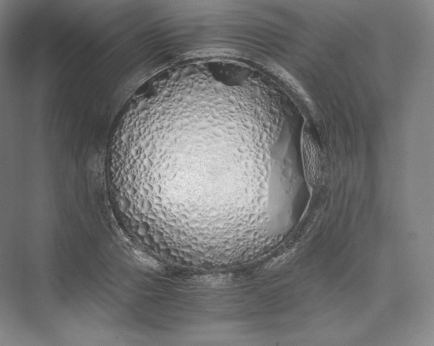 X0000073470937200608111532