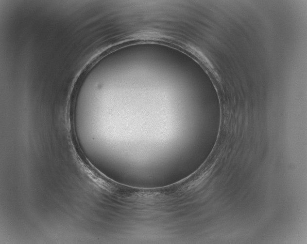 X0000073470939200608111532