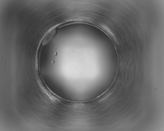 X0000073470940200608111532