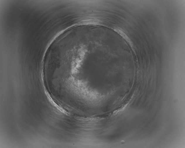 X0000073470941200608111532