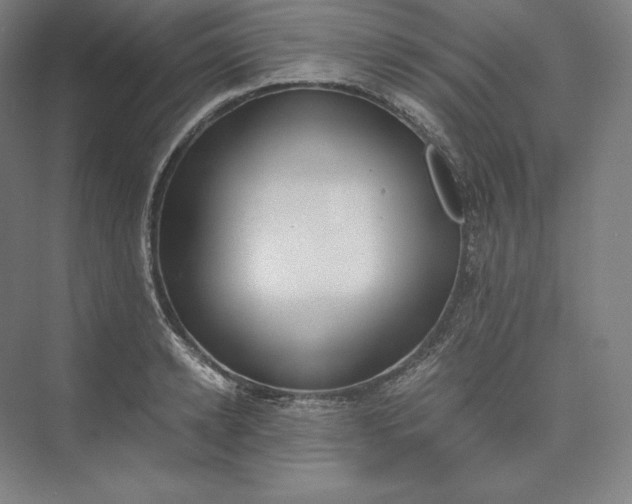 X0000073470942200608111532