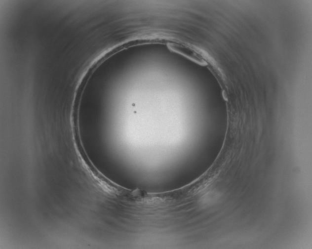 X0000073470943200608111532