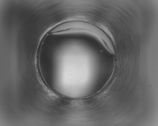 X0000073470944200608111532